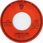Never My Love