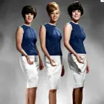 The Shangri-Las