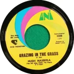 Grazing in the grass