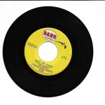 Hang On Sloopy by The McCoys