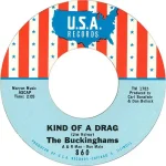 Kind of a Drag – The Buckinghams
