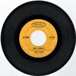 Mr. Lonely – Bobby Vinton