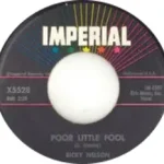 Poor Little Fool by Ricky Nelson