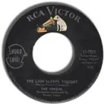 The Lion Sleeps Tonight by The Tokens